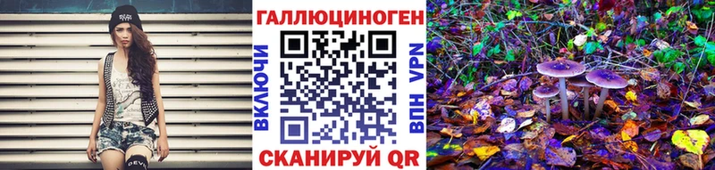 Галлюциногенные грибы мицелий  Купить где  Приморск 